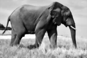 photo Relation entre les humains et la nature en Afrique Subsaharienne