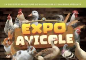 L'expo Avicole