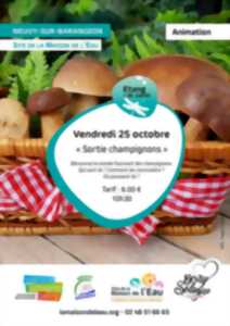 Sortie champignons