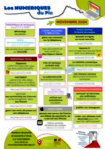photo LES NUMÉRIQUES DU PIC - NOVEMBRE