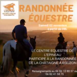 Randonnée à cheval