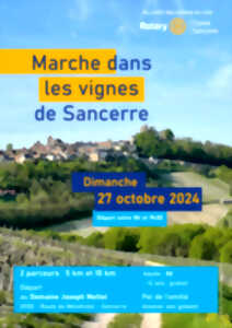 photo Marche dans les vignes de Sancerre