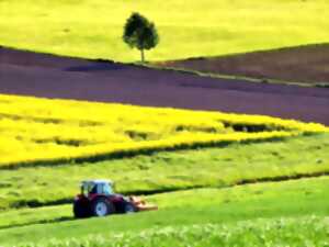 photo Ciné-débat : La part des autres, l'accès de tous à une alimentation de qualité et durable