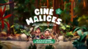 Festival Ciné Malices à Niort