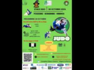 Stage Judo & Multi-activités, clôturé par défilé Halloween