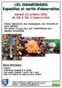 photo Atelier découverte des champignons