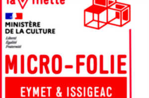 Programation Micro Folie