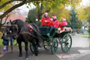 Balades en calèche