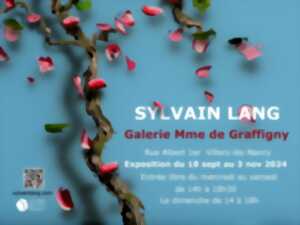 EXPOSITION SYLVAIN LANG