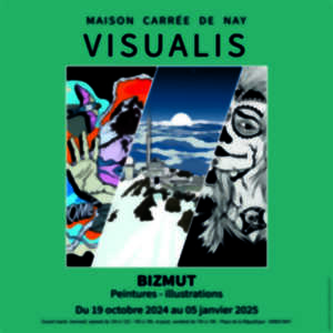 photo Exposition Visualis - Bizmut