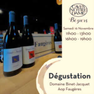 DEGUSTATION DES VINS DU DOMAINE BINET-JACQUET