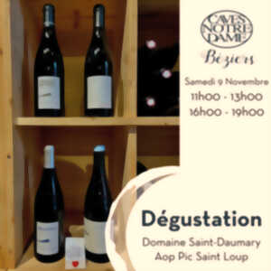 photo DEGUSTATION DES VINS DU DOMAINE SAINT DAUMARY