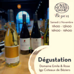 photo DEGUSTATION DES VINS DU DOMAINE EMILE & ROSE