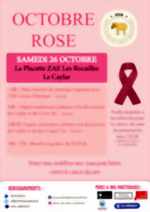 OCTOBRE ROSE AU CAYLAR