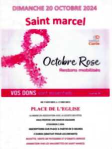 photo Octobre Rose à Saint-Marcel