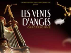 photo LES VENTS D'ANGES  - TRIO VIOLON, VIOLONCELLE ET ORGUE