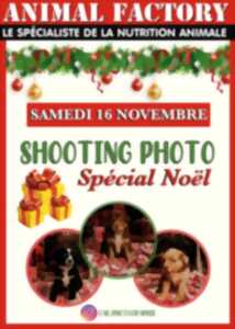 SHOOTING PHOTO SPÉCIAL NOËL