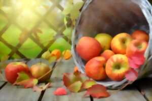 Fête de l'Automne au Chalard