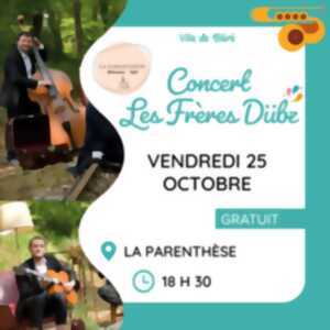 photo Concert - Les Frères Dübz