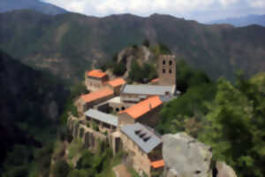 photo APLEC ABBAYE SAINT MARTIN DU CANIGOU