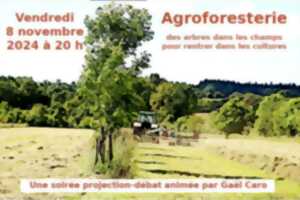 photo AGROFORESTERIE : SCIENCE AVEC ET POUR LA SOCIÉTÉ