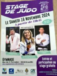 photo Stage de Judo