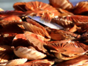 photo Fête de la Coquille, des produits de la Mer et de la Gastronomie