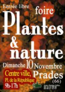 photo FOIRE PLANTES & NATURE