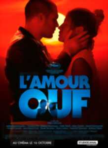 photo Cinéma Arudy : L'amour ouf