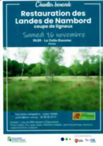 photo Restauration des landes de Nambord