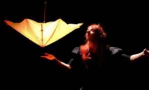 photo Spectacle Duo de Clown : Variations pour un parapluie