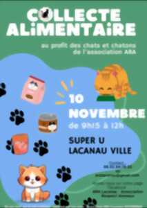 Collecte alimentaire au profit des chats et chatons de l'association ARA