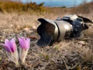 photo Exposition photo « Objectif Saint-Martin »