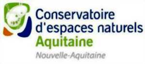 photo Chantier nature avec le Conservatoire d'espaces naturels