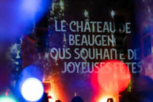 photo Lumières de Noël au Château de Beaugency