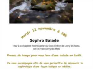 RANDO - SOPHRO-BALADE