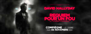 photo David Hallyday – Requiem pour un fou