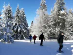 photo BALADE RAQUETTES AUX AURORES ET BRUNCH EN FERME AUBERGE