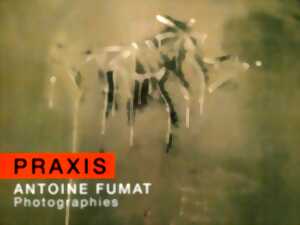 photo EXPOSITION - Praxis