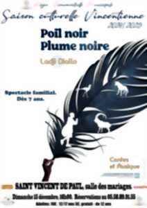 photo Poil Noir Plume Noire