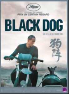 photo Cinéma Laruns : Black Dog VOSTFR