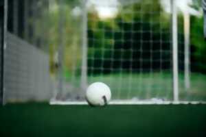 MATCH DE FUTSAL AU PROFIT DU TELETHON