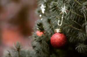 photo Marché de Noël et vente de sapins