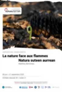 photo Exposition - La nature face aux flammes