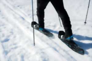 Balade en raquettes à neige et descentes en luge