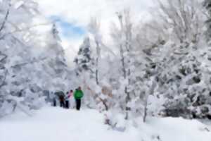 Journée en raquettes à neige