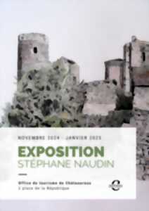 photo Exposition Stéphane Naudin