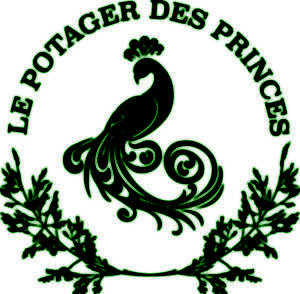 photo Noël au Potager des Princes