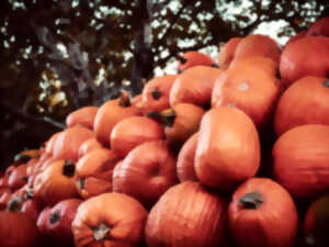 photo Fête de la Citrouille