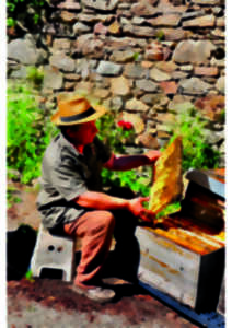 photo Visite commentée de la ruche du Berger des abeilles